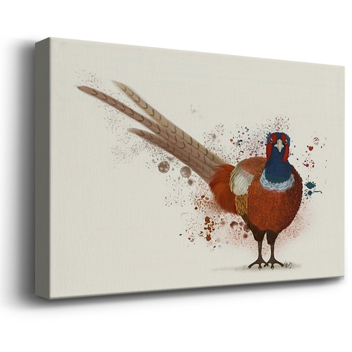 Pheasant Splash 7 Premium Gallery Wrapped Canvas - Ready to Hang