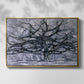 The Gray Tree, 1911 - Floater Framed Canvas Print