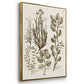 Sepia Botanical Journal VI - Framed Premium Gallery Wrapped Canvas L Frame 3 Piece Set - Ready to Hang