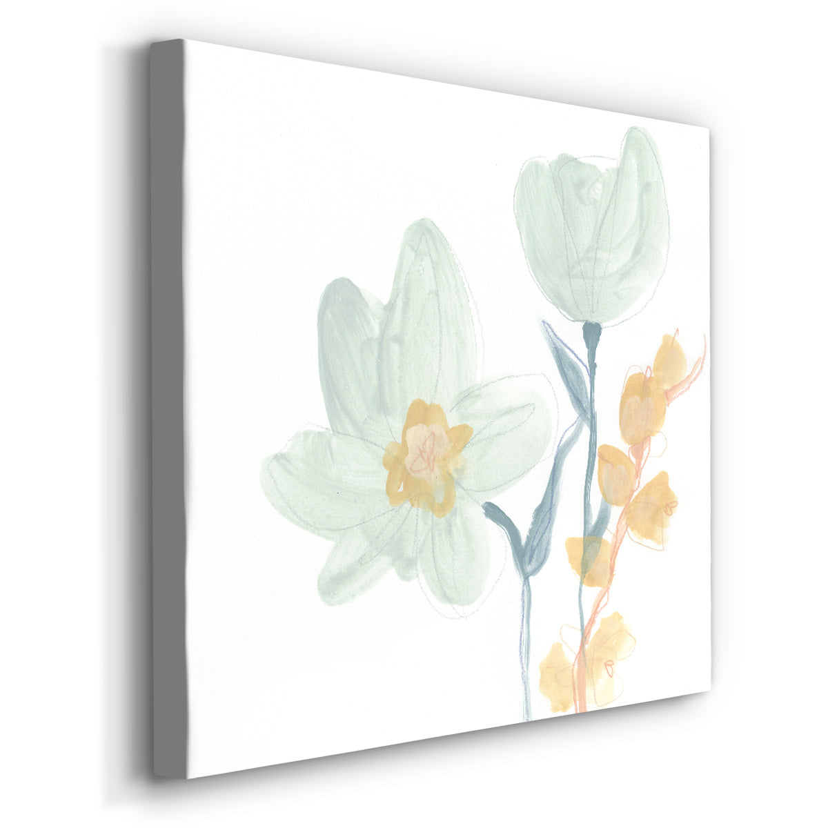 Petite Petals IX - Canvas Art Print