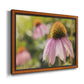 Echinacea Study I Premium Framed Canvas- Ready to Hang