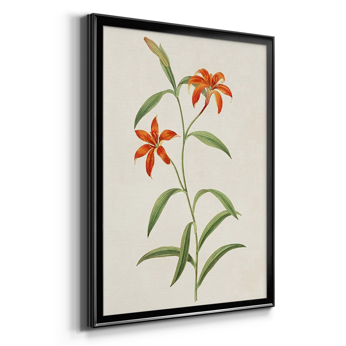 Flowers of the Seasons III - Modern Framed Canvas Print