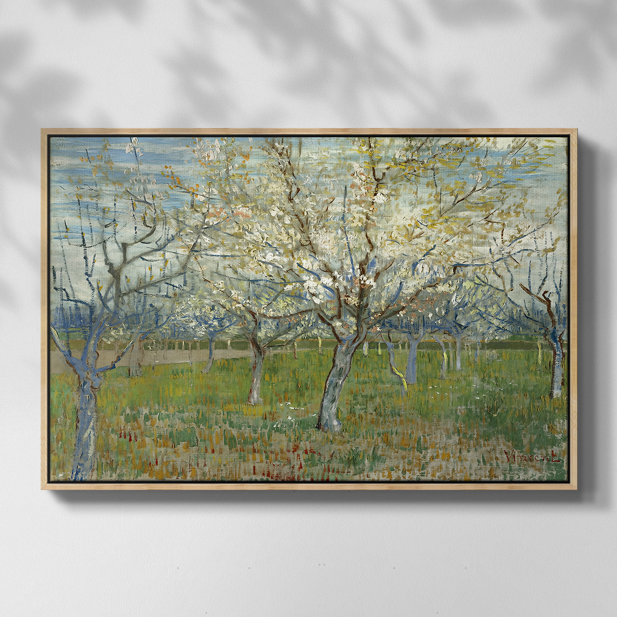 The Pink Orchard, 1888 - Floater Framed Canvas Print