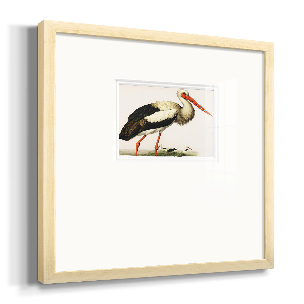 Odd Crane Premium Framed Print Double Matboard