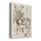 Sepia Botanical Journal IX - Canvas Art Print