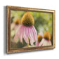 Echinacea Study II Premium Framed Canvas- Ready to Hang