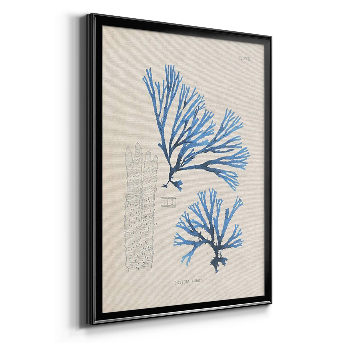 Blue Marine Algae V - Modern Framed Canvas Print