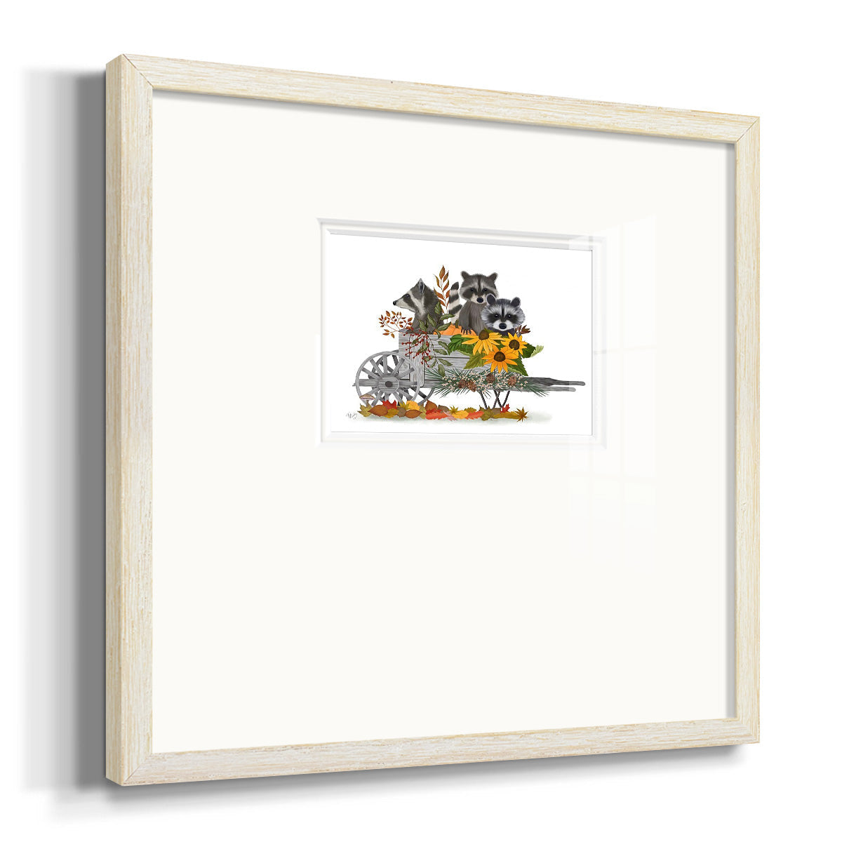 Raccoon Wheelbarrow Premium Framed Print Double Matboard