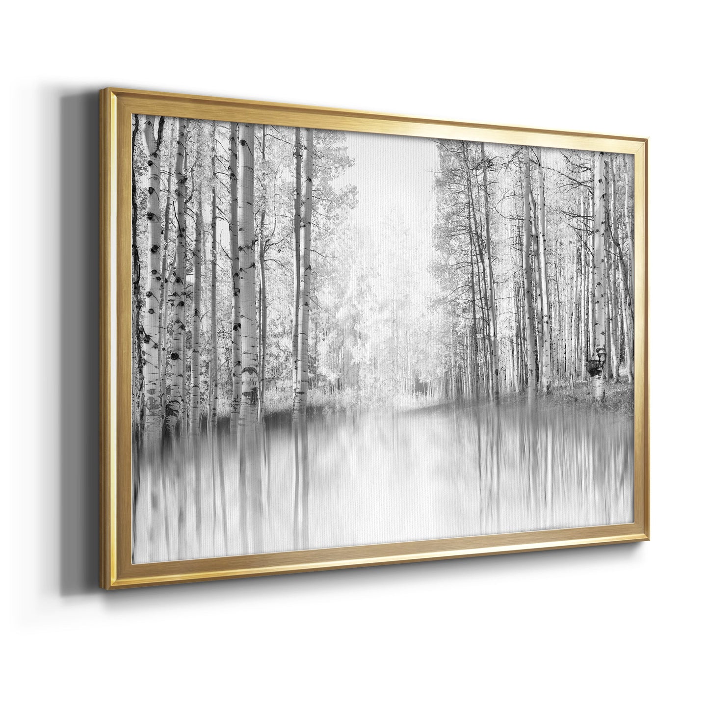 Aspen Reflection Premium Classic Framed Canvas - Ready to Hang