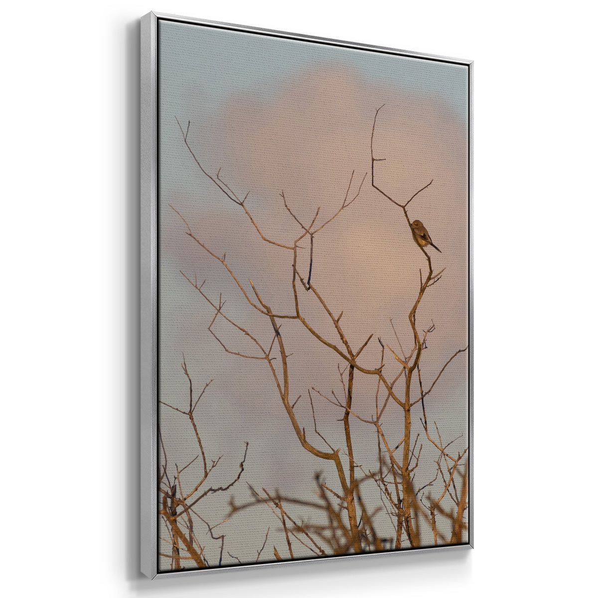 At Dawn - Floater Framed Canvas Print