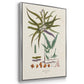 Botanical Society Ferns VI - Framed Premium Gallery Wrapped Canvas L Frame 3 Piece Set - Ready to Hang