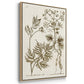 Sepia Botanical Journal I - Framed Premium Gallery Wrapped Canvas L Frame 3 Piece Set - Ready to Hang