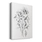 Wild Roses Sketch Premium Gallery Wrapped Canvas - Ready to Hang