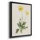 Flowers of the Seasons XII - Modern Framed Canvas Print