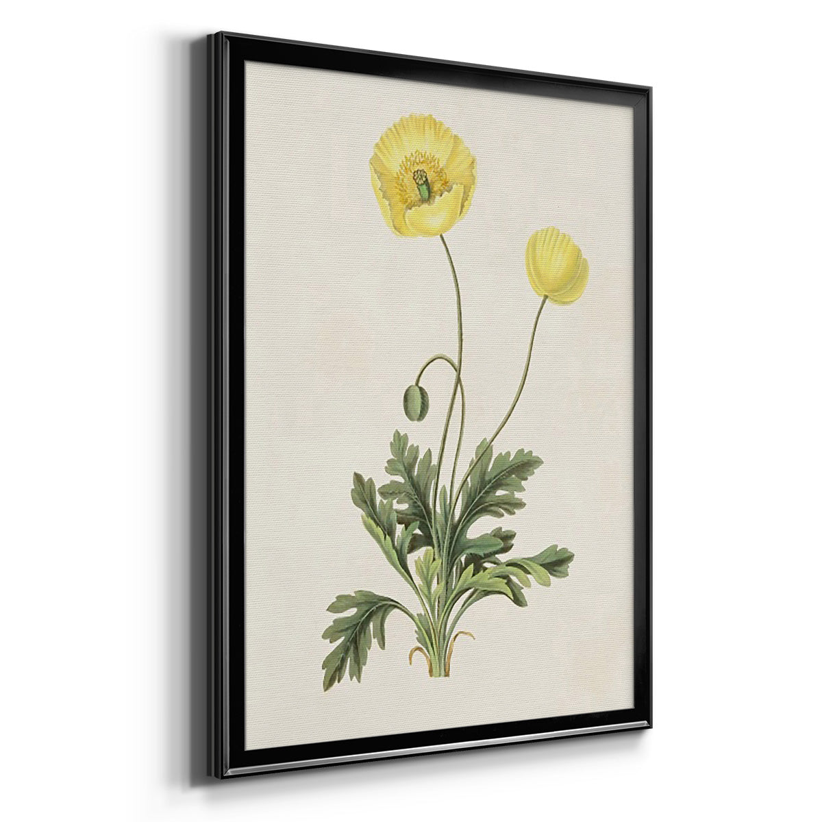 Flowers of the Seasons XII - Modern Framed Canvas Print