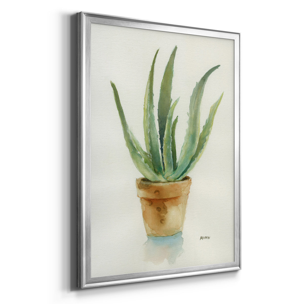 Succulent IV - Modern Framed Canvas Print