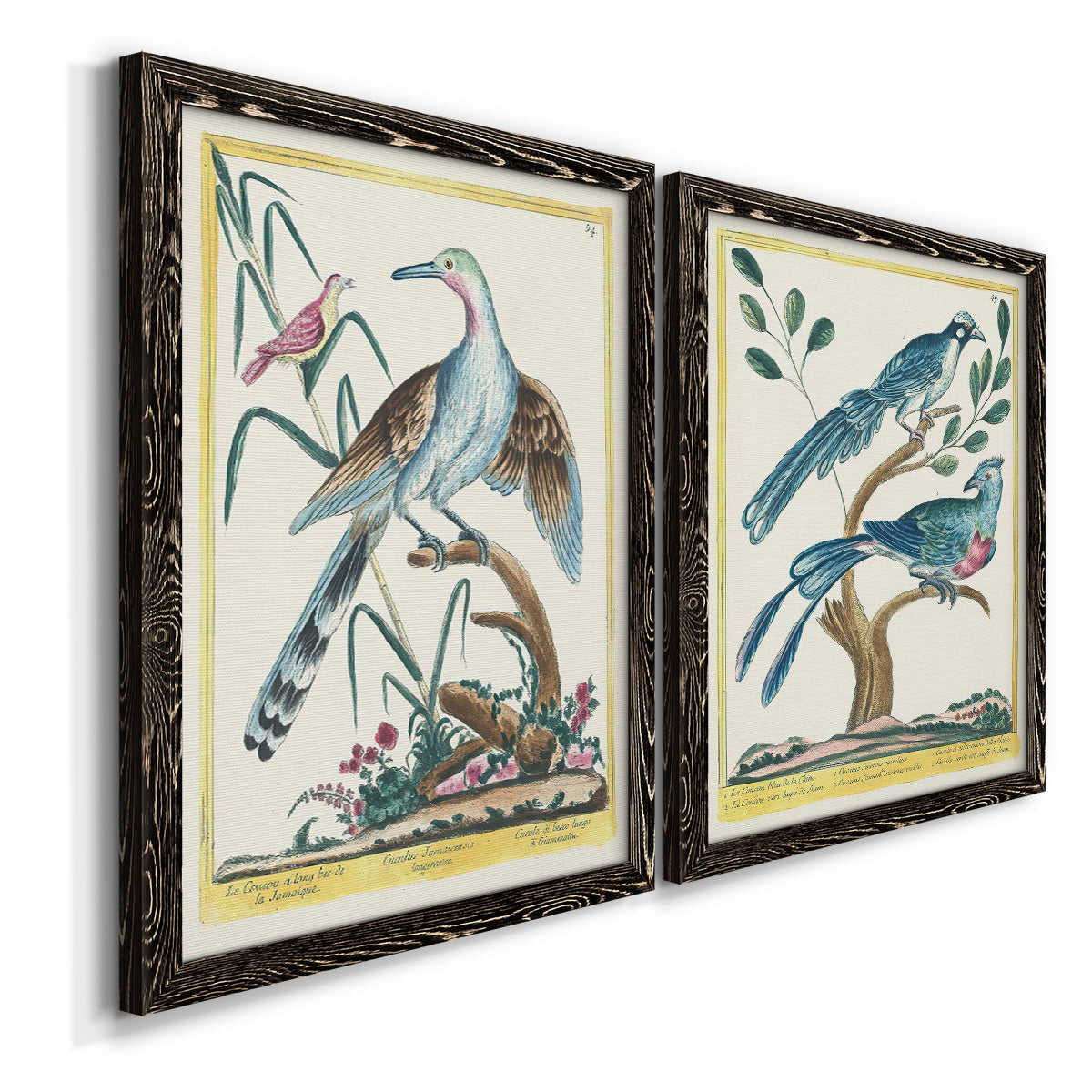 Pastel Birds V - Premium Framed Canvas 2 Piece Set - Ready to Hang