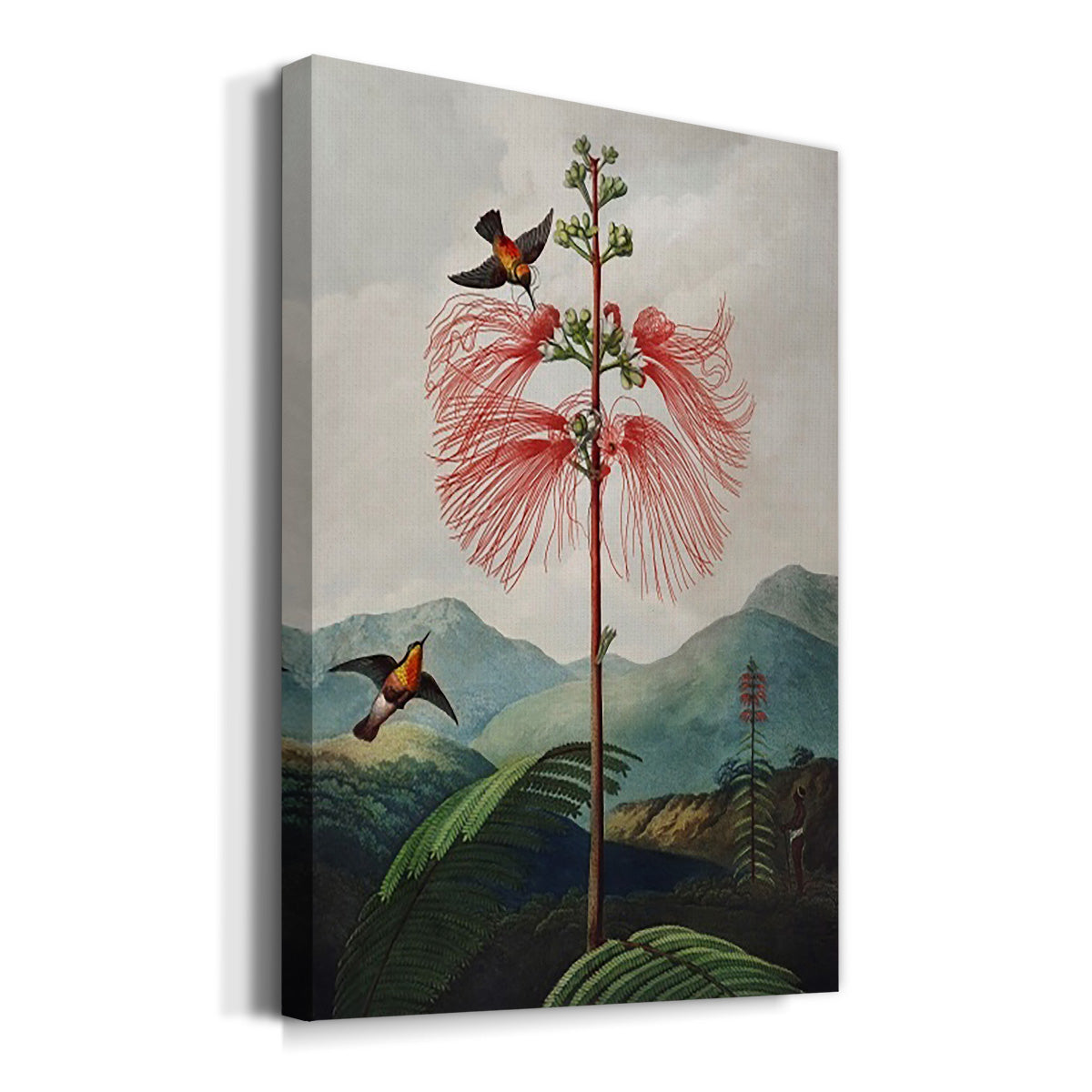 Temple of Flora VIII Premium Gallery Wrapped Canvas - Ready to Hang