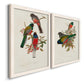 Elegant Trogons IX - Premium Framed Canvas 2 Piece Set - Ready to Hang