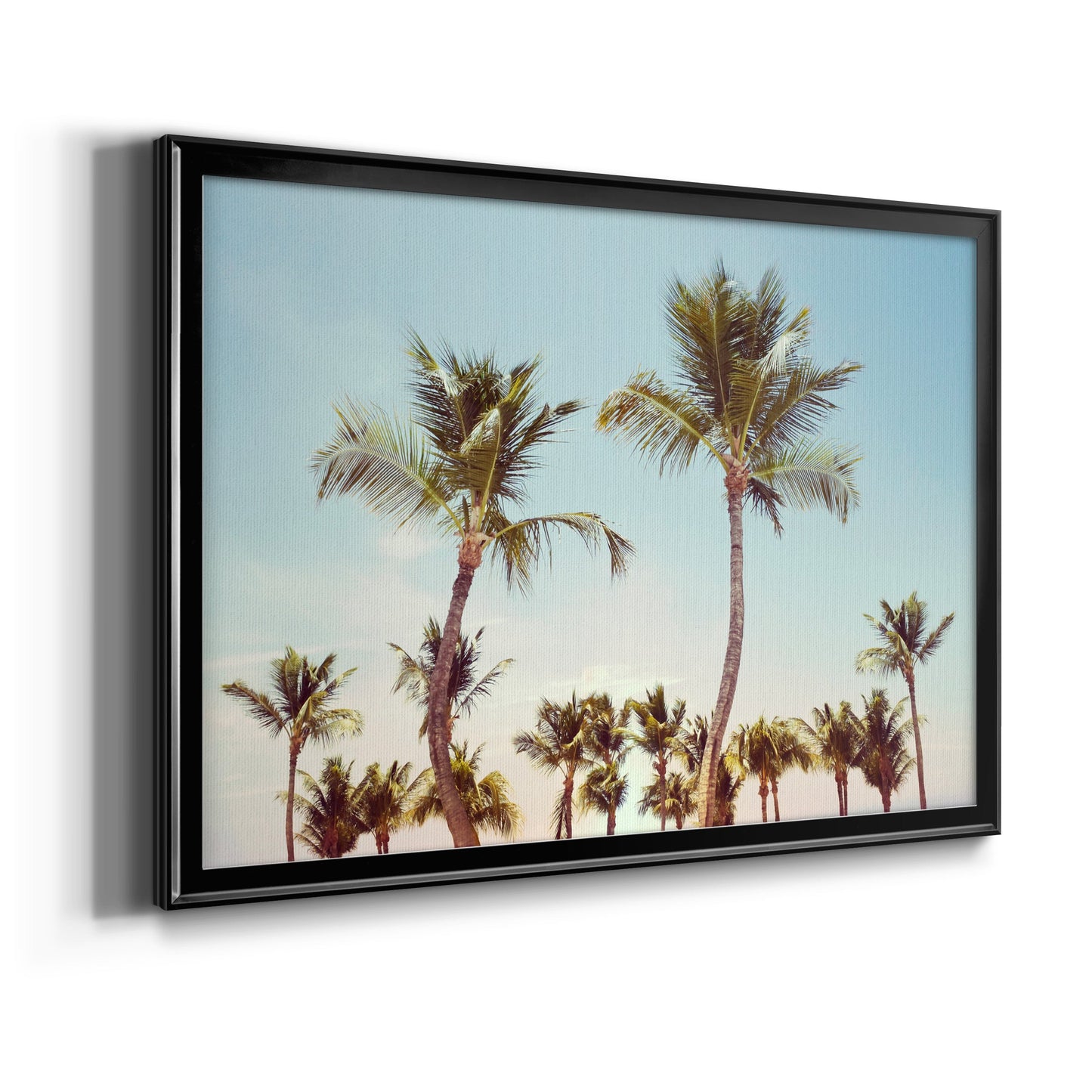 Aruba Palm - Modern Framed Canvas Print