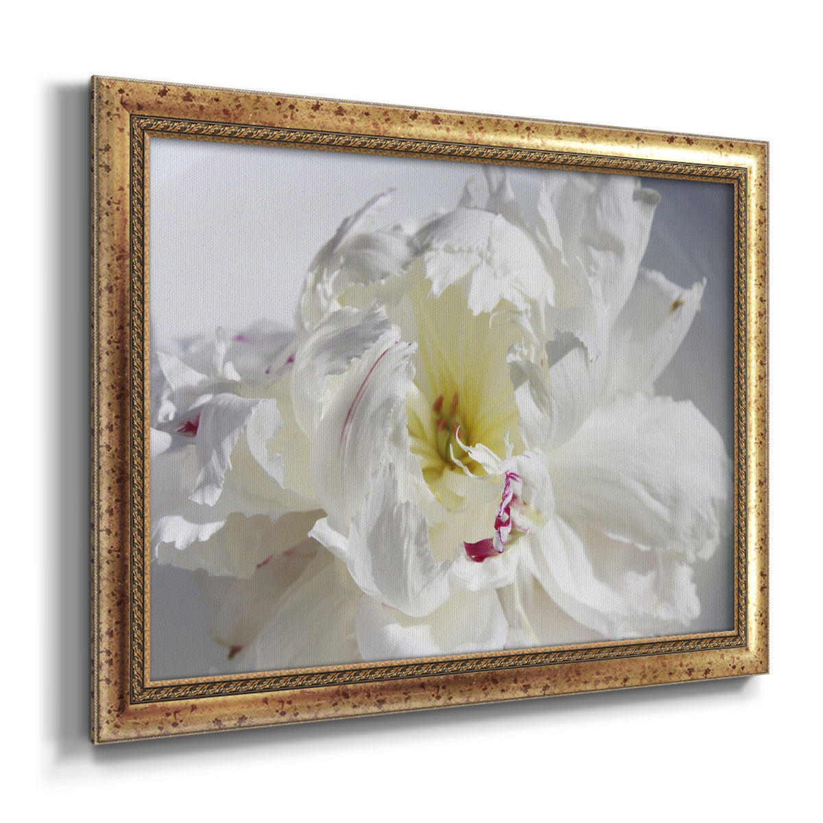 Breathless IV - Ornate Framed Canvas Print