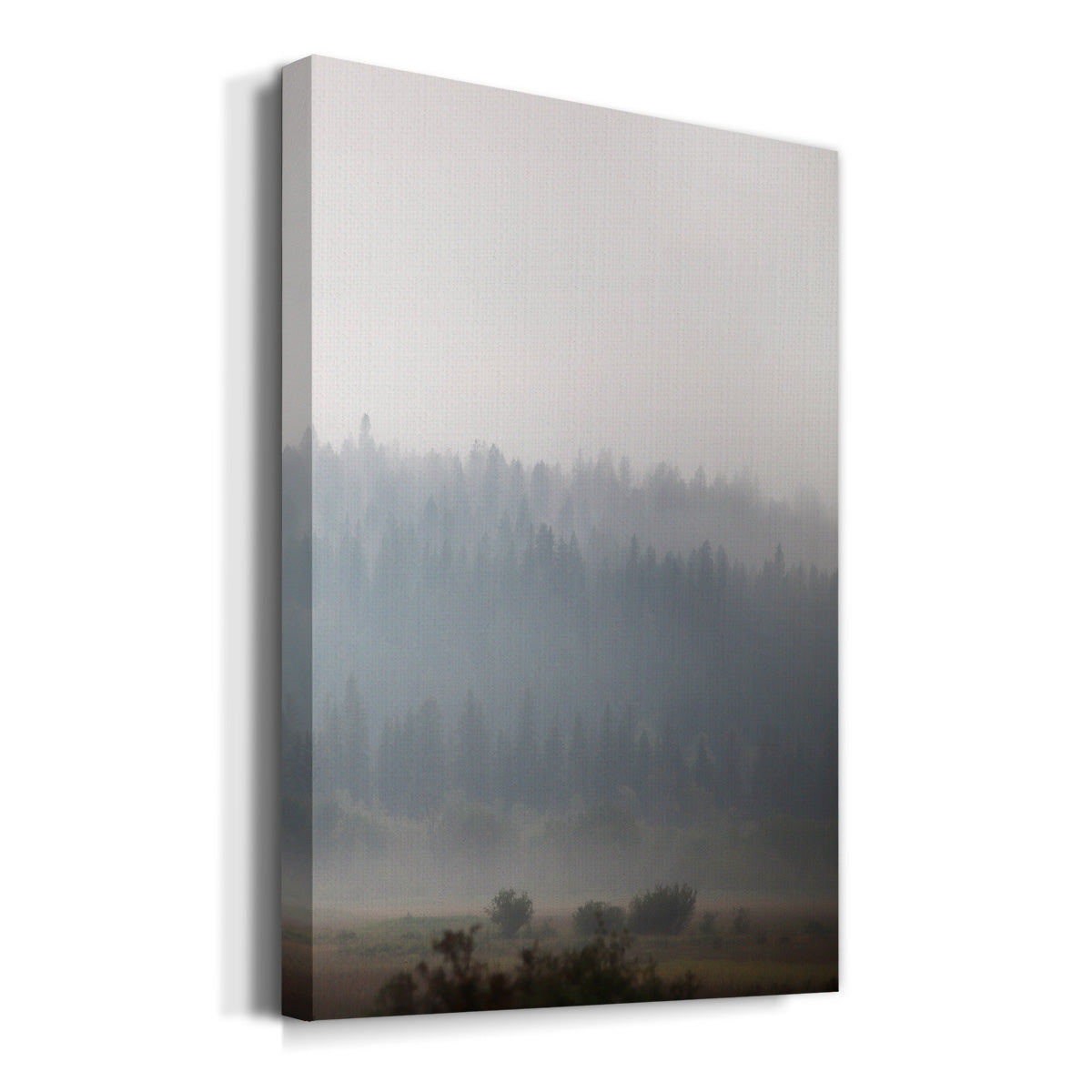 Morning Glow I Premium Gallery Wrapped Canvas - Ready to Hang