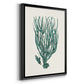 Antique Coastal Coral VIII - Modern Framed Canvas Print