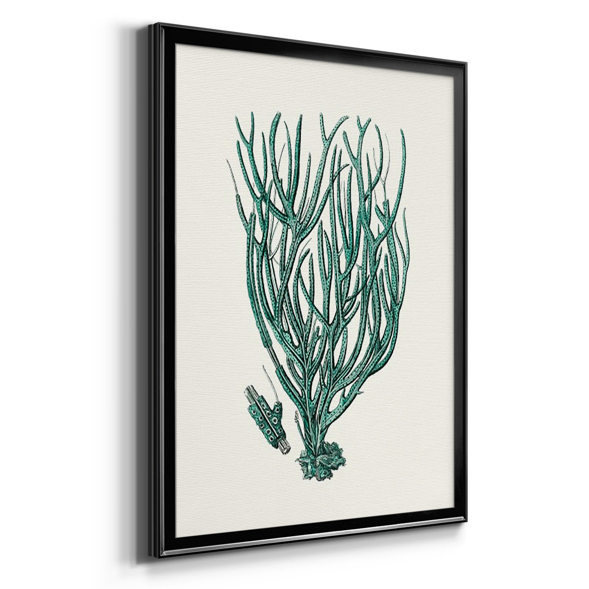 Antique Coastal Coral VIII - Modern Framed Canvas Print