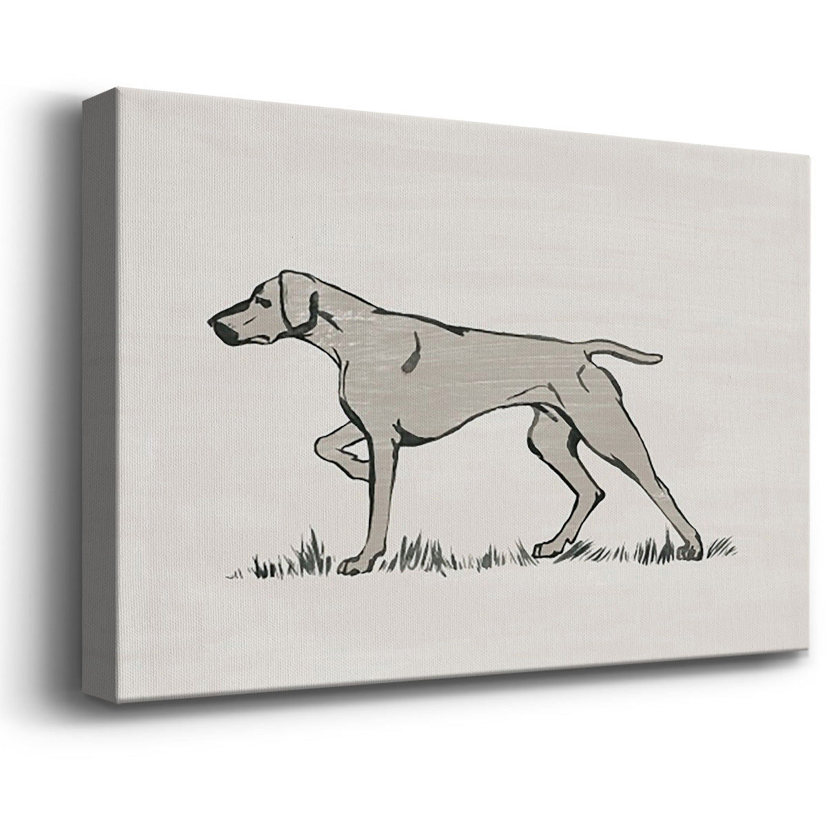 Neutral Pointer II - Canvas Art Print