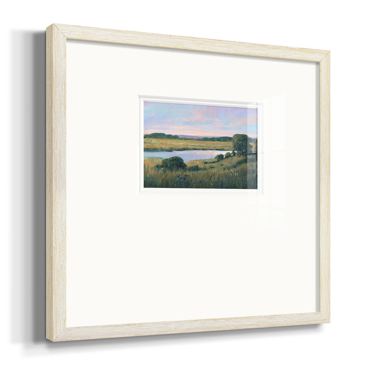 Spring Marsh II Premium Framed Print Double Matboard