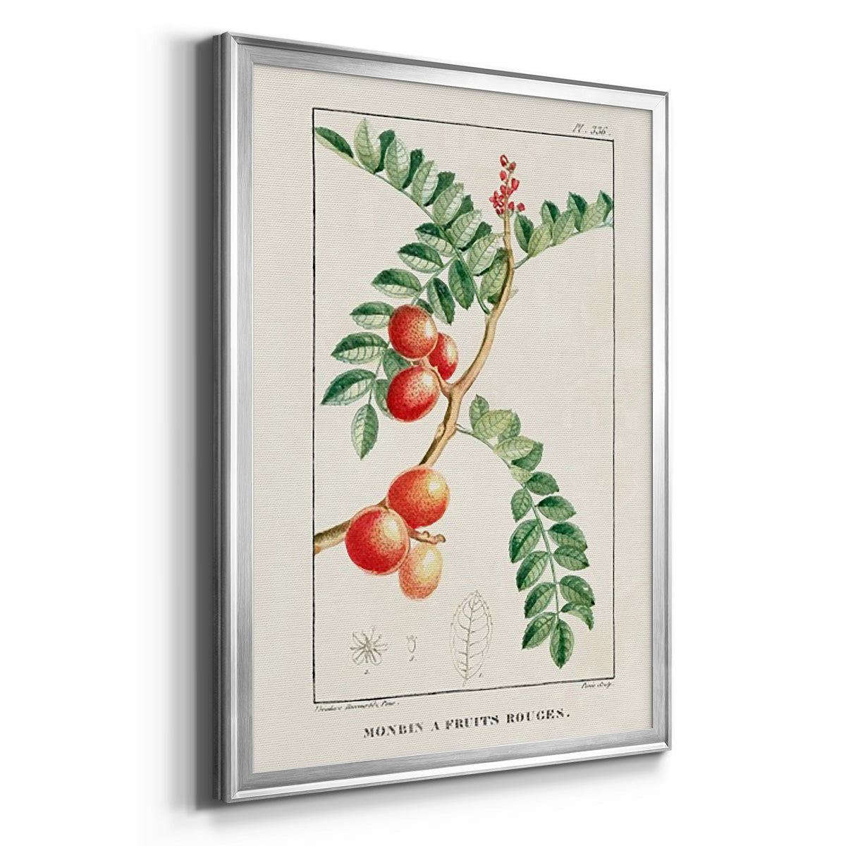 Turpin Tropical Botanicals III - Modern Framed Canvas Print