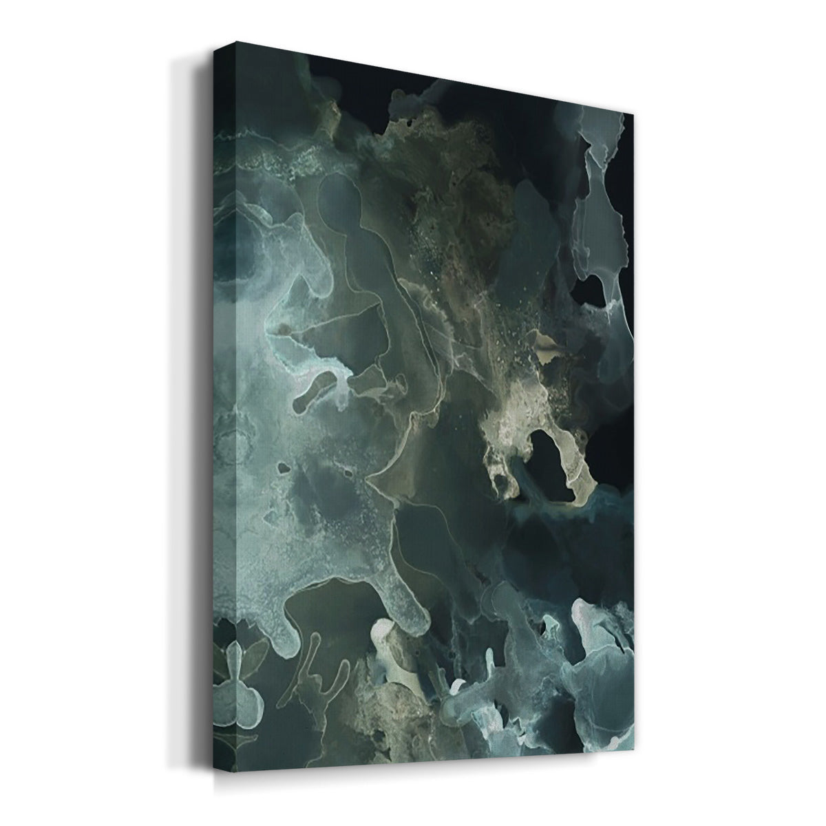 Gilded Spector I - Canvas Art Print