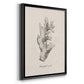 Shore Treasure Study II - Modern Framed Canvas Print