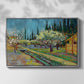 Orchard in Blossom, Bordered by Cypresses, 1888 - Floater Framed Canvas Print