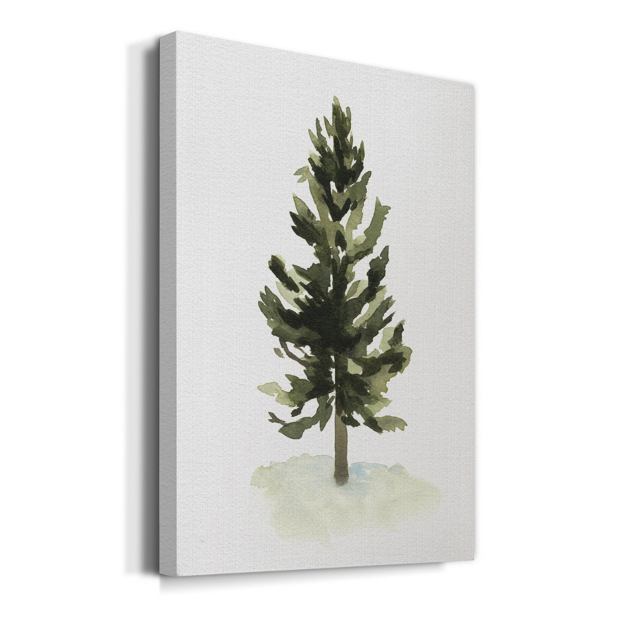 Watercolor Pine I Premium Gallery Wrapped Canvas - Ready to Hang