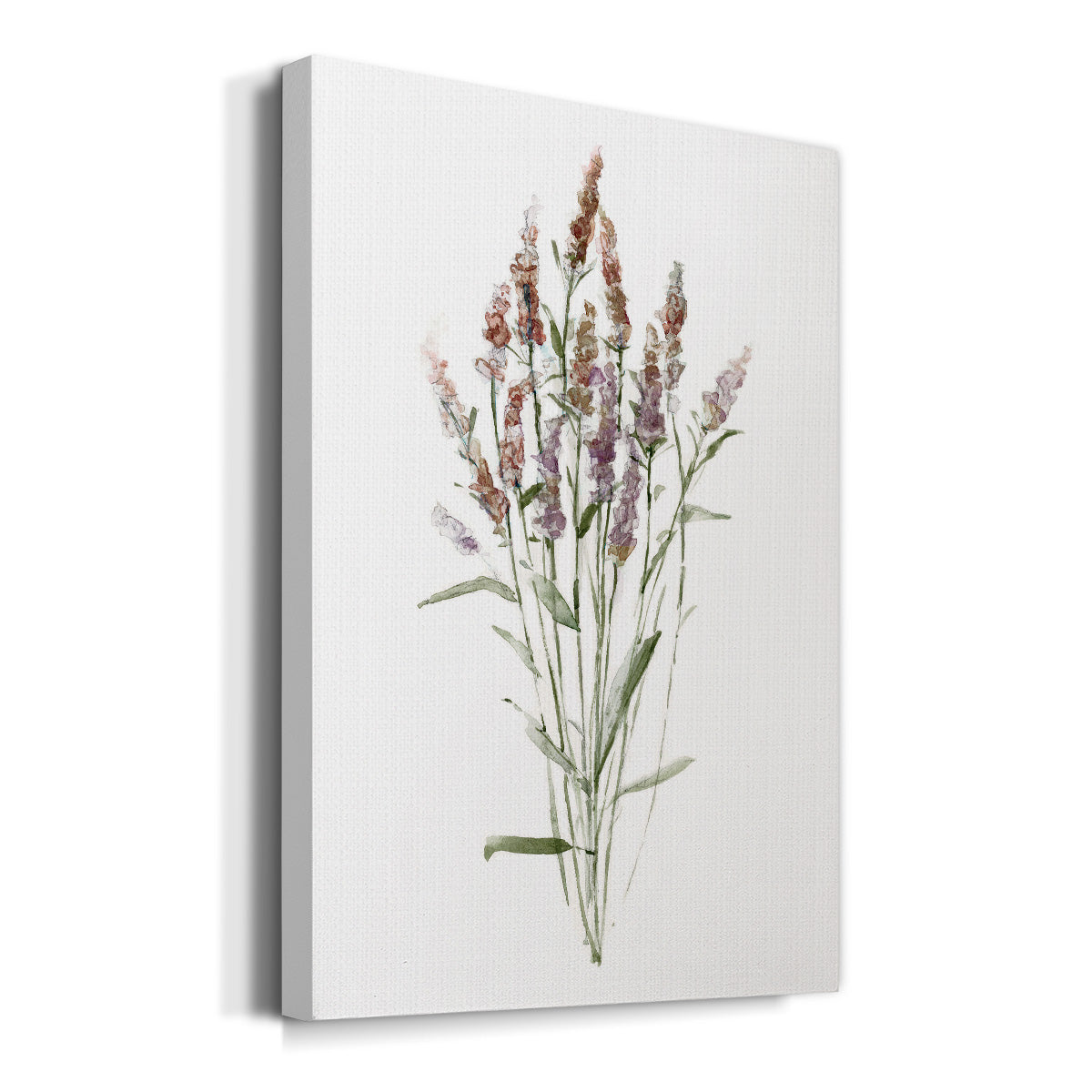 Dainty Botanical III - Canvas Art Print