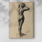 Canvas art print of a simple anatomical sketch with gentle contour and light shading with a soft shadow on a white background.