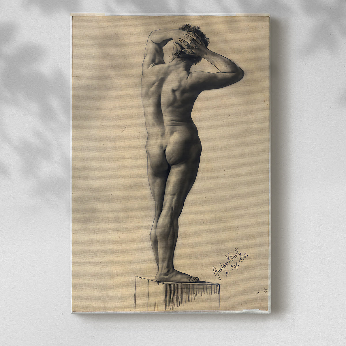 Canvas art print of a simple anatomical sketch with gentle contour and light shading with a soft shadow on a white background.