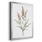 Dainty Botanical I - Modern Framed Canvas Print