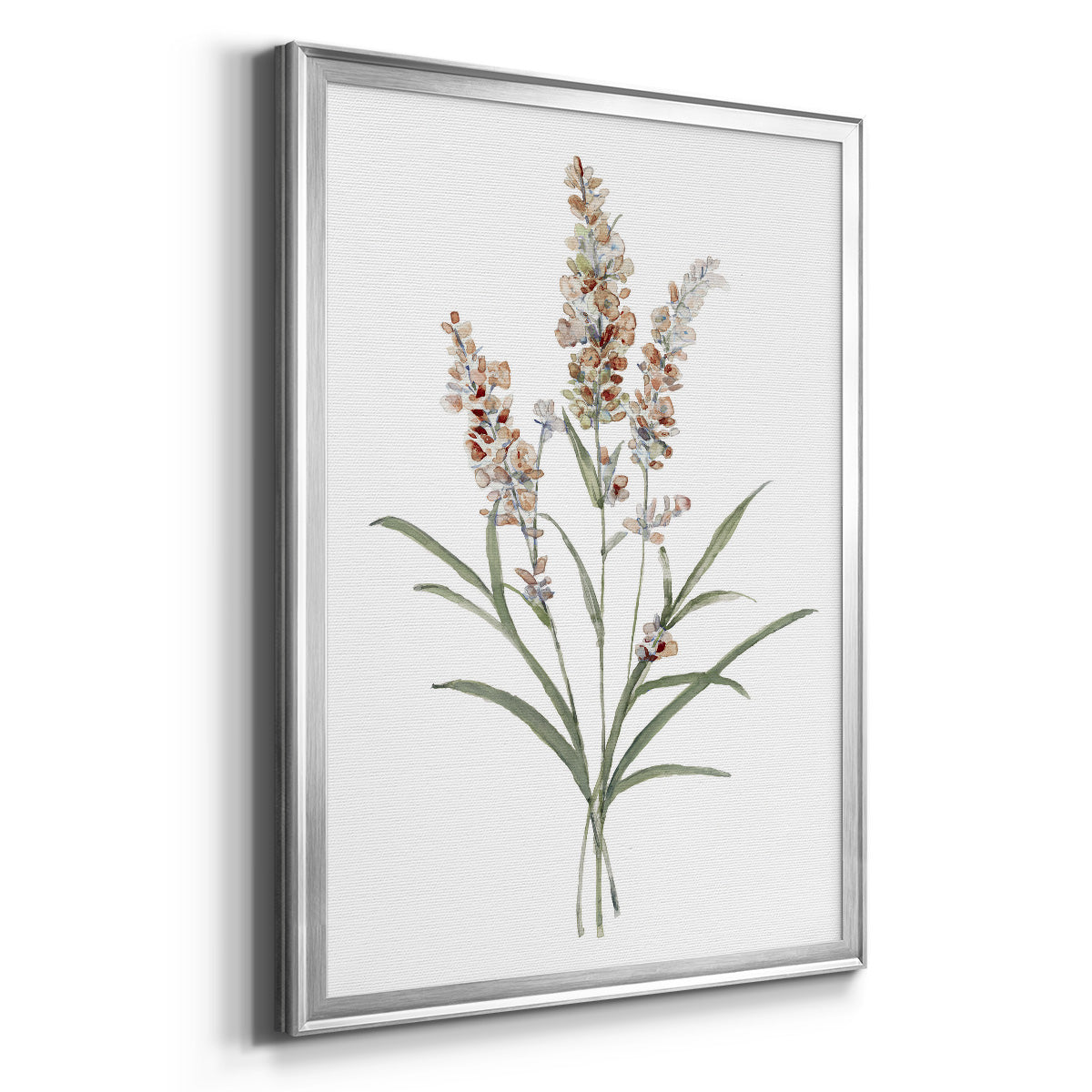 Dainty Botanical I - Modern Framed Canvas Print