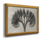 Vintage botanical plant study photograph by Karl Blossfeldt printed on canvas in an ornate antique gold frame.