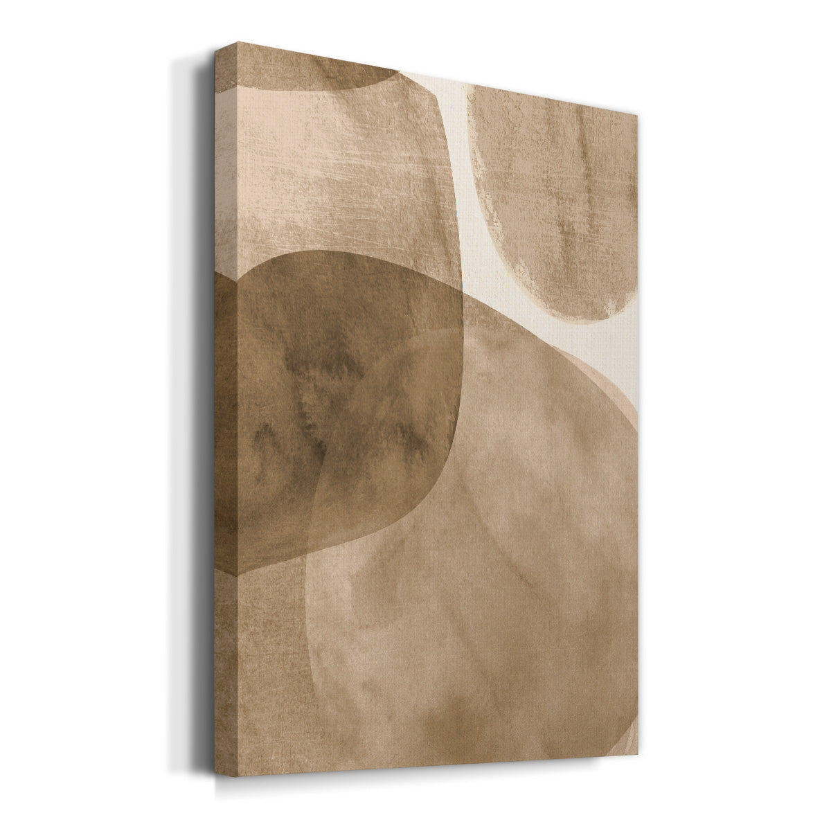 Neutral Object II - Canvas Art Print