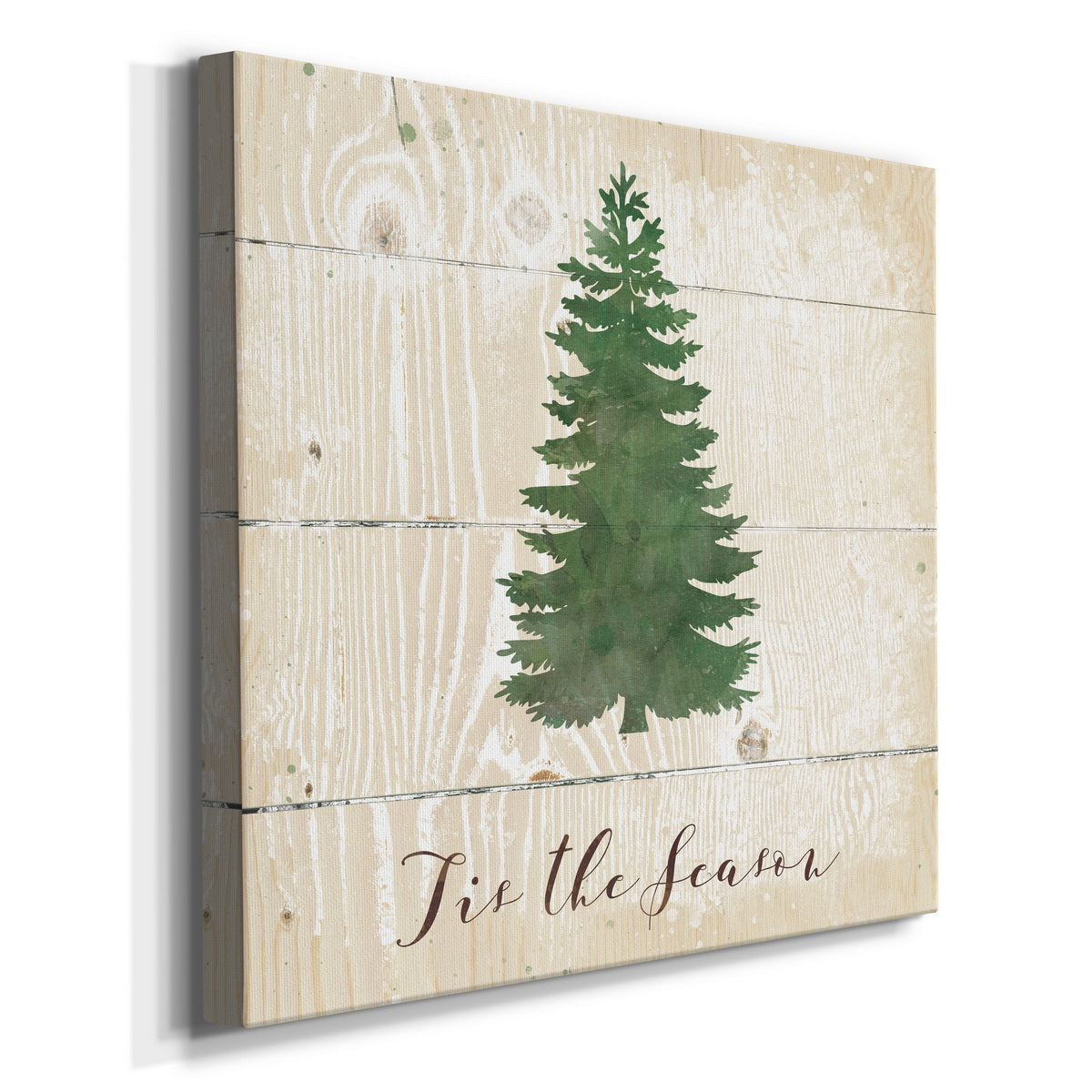 Tis the Season Pine-Premium Gallery Wrapped Canvas - Ready to Hang