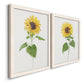 Sunflower I   - Premium Framed Canvas 2 Piece Set - Ready to Hang