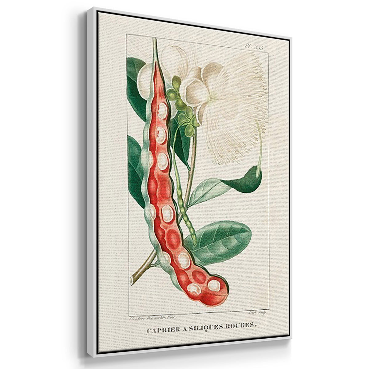 Turpin Tropical Botanicals VI - Framed Premium Gallery Wrapped Canvas L Frame 3 Piece Set - Ready to Hang