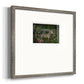 Zebra In Conservatory Premium Framed Print Double Matboard