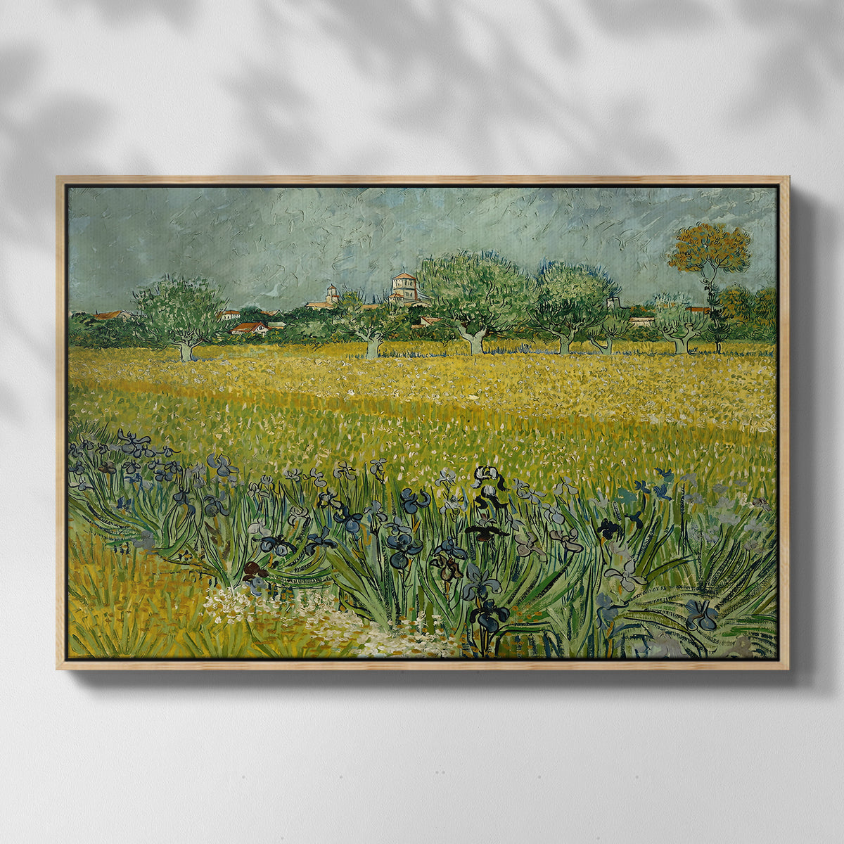 Field with Irises near Arles, 1888 - Floater Framed Canvas Print