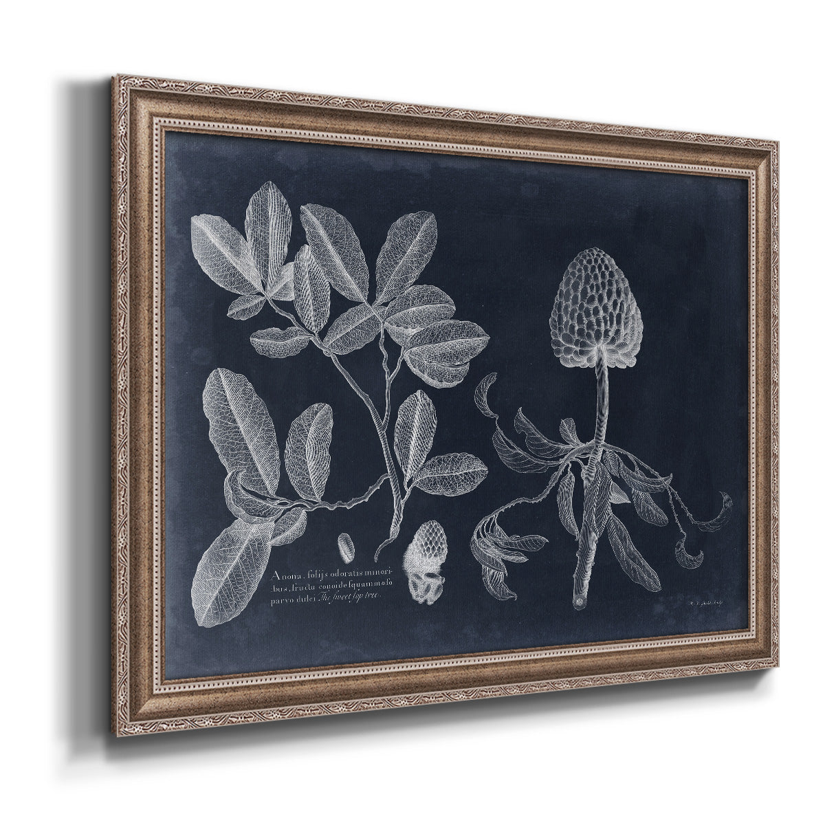 Foliage on Navy II Premium Framed Canvas- Ready to Hang