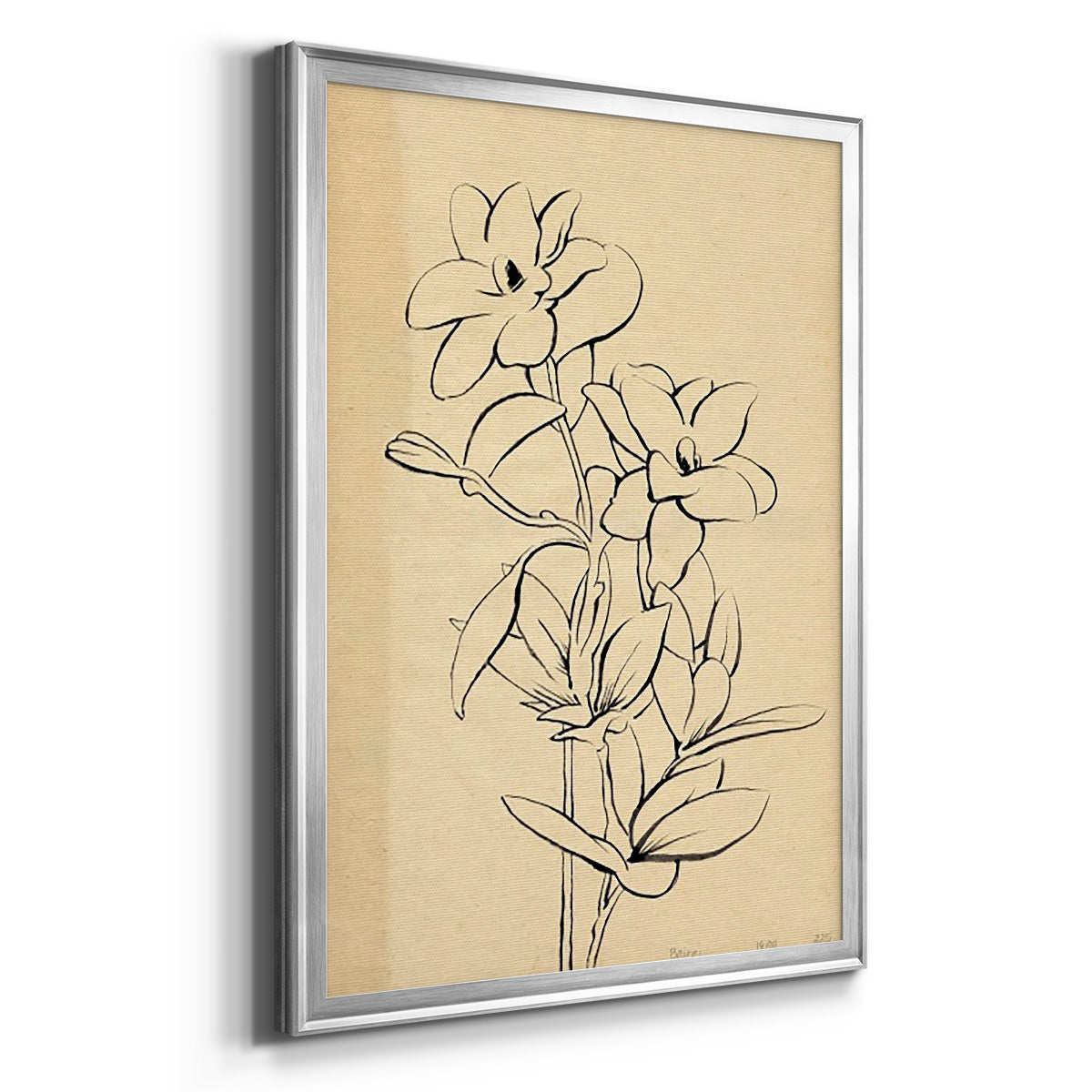 Magnolia Sketch I - Modern Framed Canvas Print