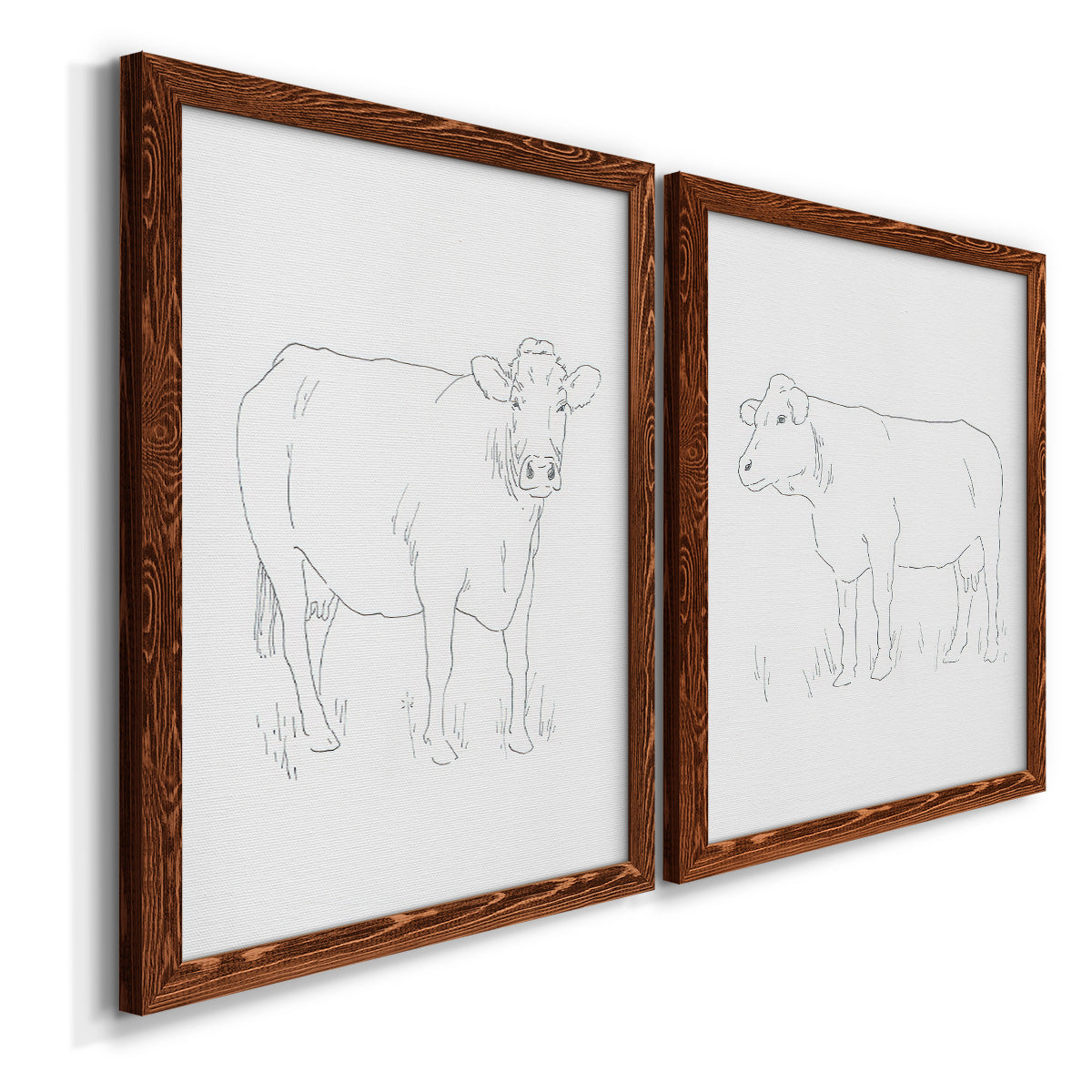 Angled view of a set of two maple barnwood framed canvas prints featuring two minimalist livestock sketches featuring simple contour drawings of standing cows.